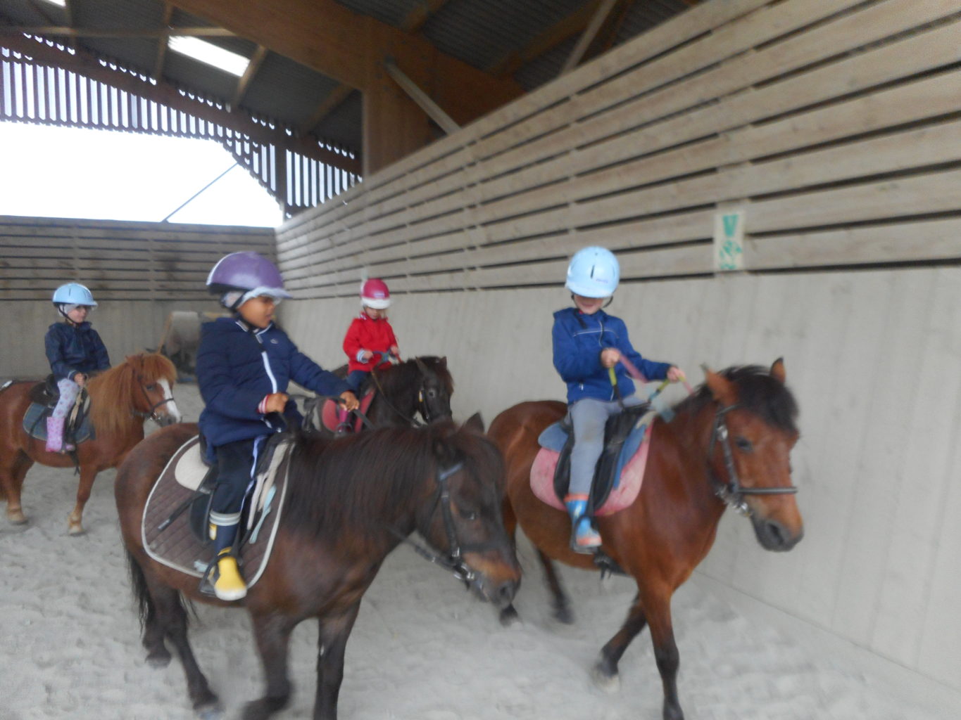 Stage poney, groupe 2 (2ème jour)